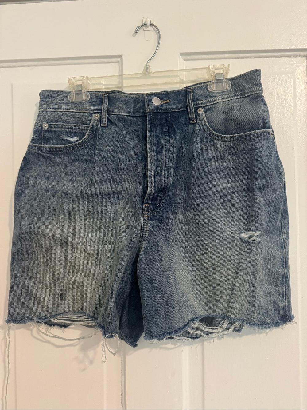 Everlane Way High Denim Jean Shorts